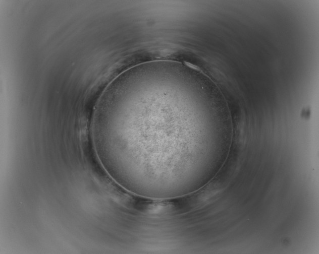 X0000112980274200909031116