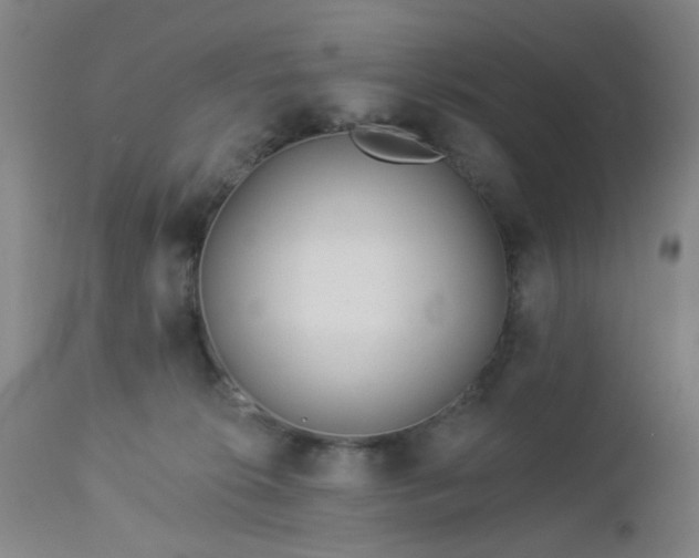 X0000112980276200909031116