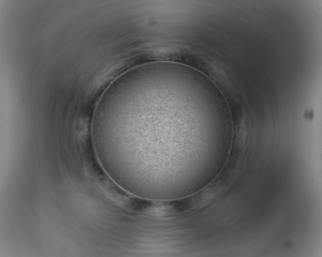 X0000112980278200909031116