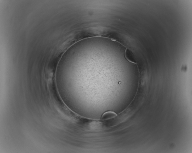 X0000112980279200909031116