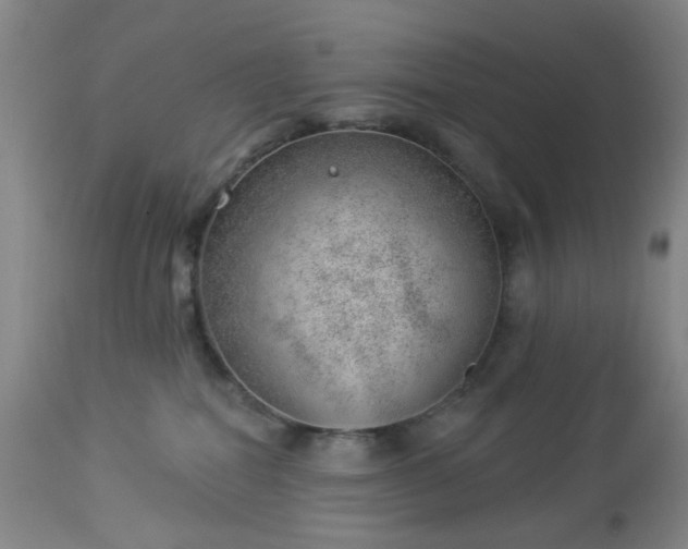 X0000112980282200909031116