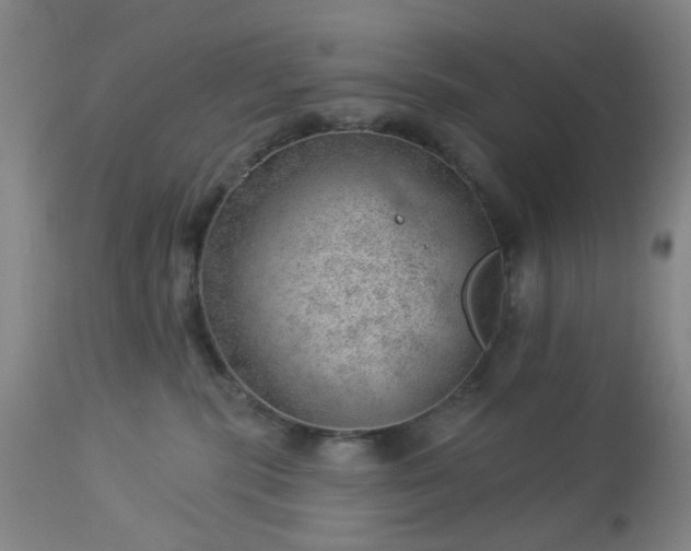 X0000112980283200909031116