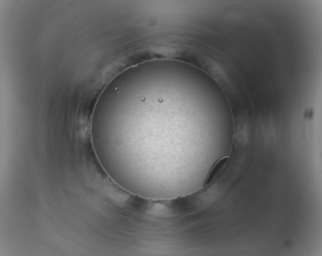 X0000112980285200909031116