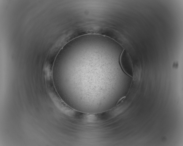 X0000112980287200909031116