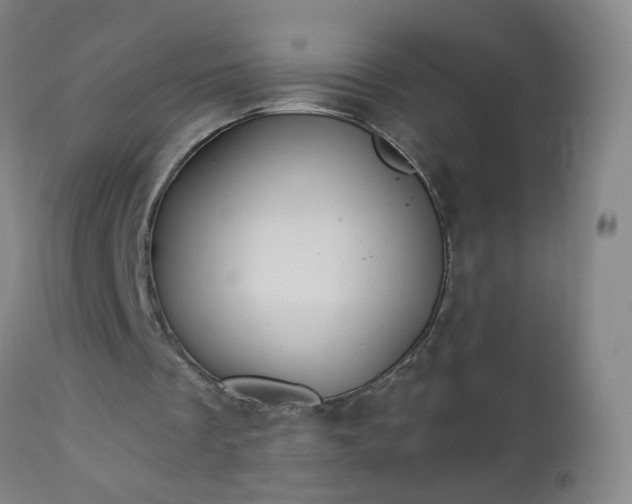 X0000112980289200909031115