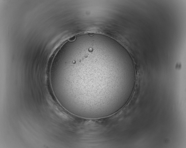 X0000112980290200909031115