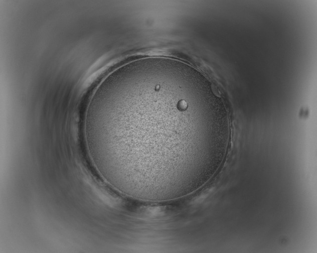 X0000112980295200909031115