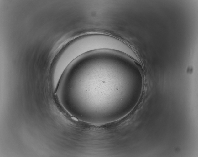 X0000112980296200909031115