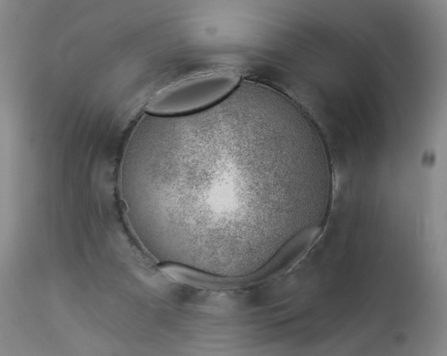 X0000112980297200909031115