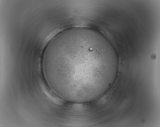 X0000112980298200909031115