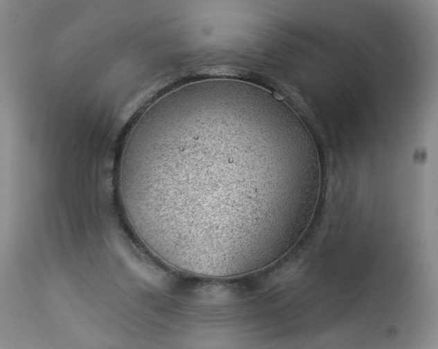 X0000112980299200909031115