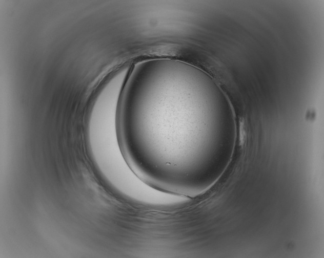 X0000112980300200909031115