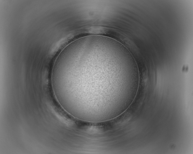 X0000112980303200909031115