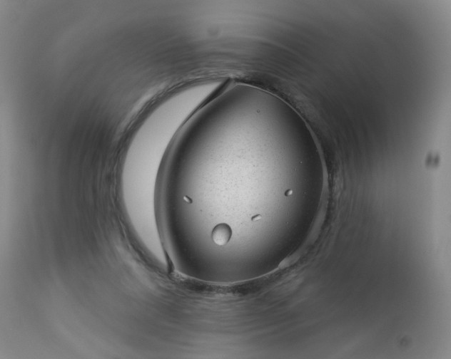 X0000112980304200909031115