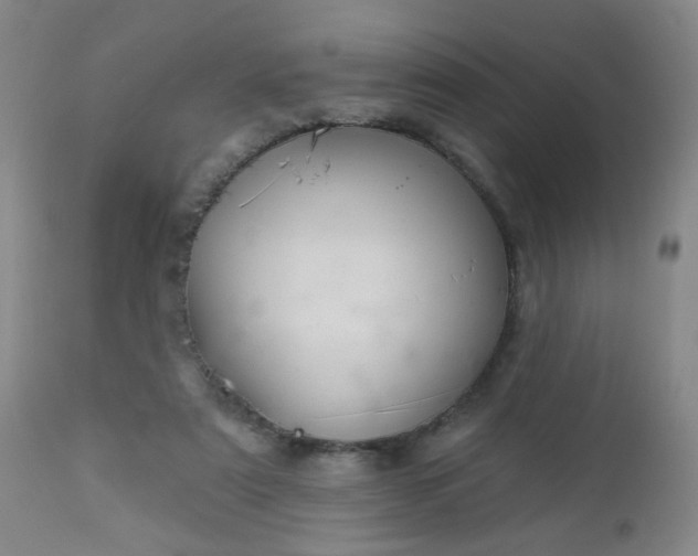 X0000112980307200909031115