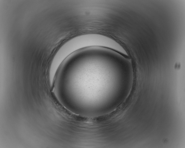 X0000112980308200909031115