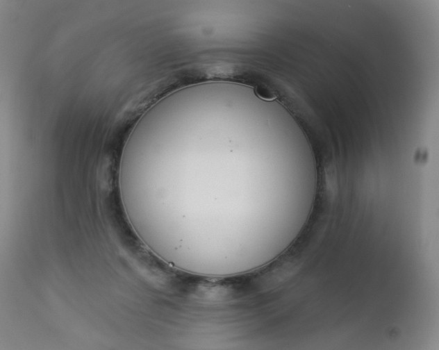 X0000112980311200909031115