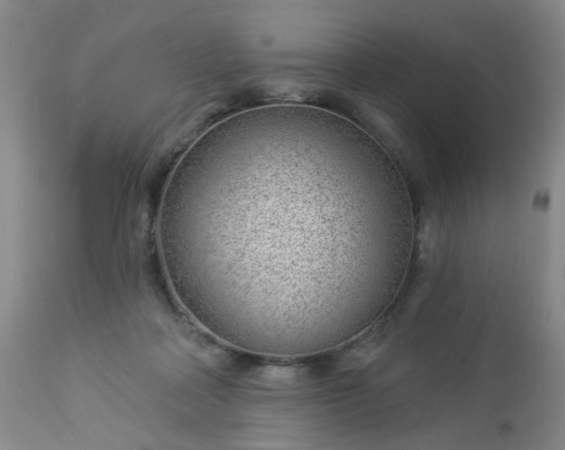 X0000112980314200909031115