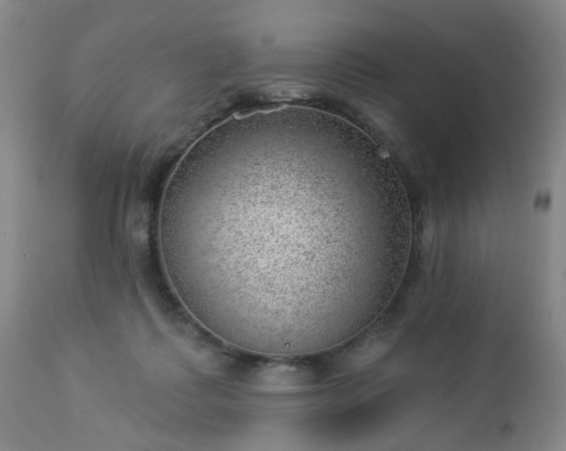 X0000112980315200909031115