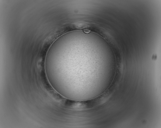 X0000112980319200909031115