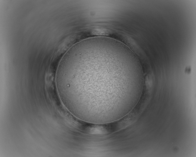 X0000112980322200909031115