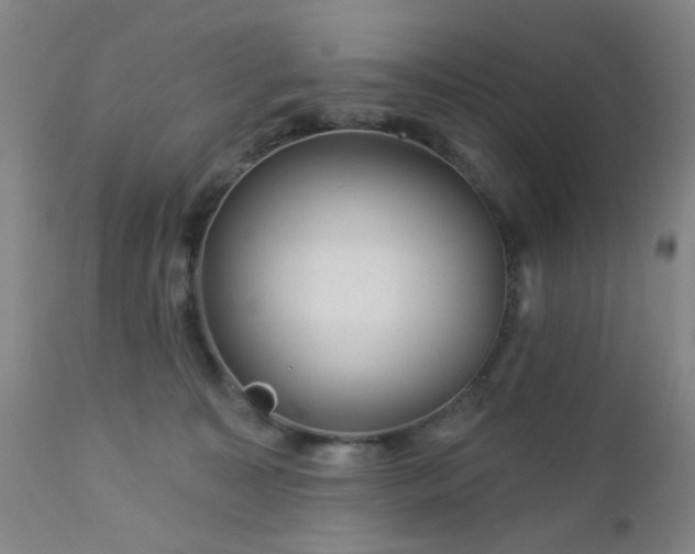 X0000112980323200909031115