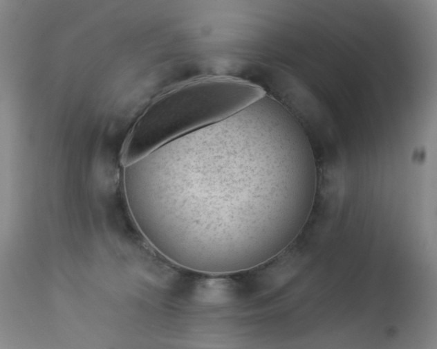 X0000112980324200909031115