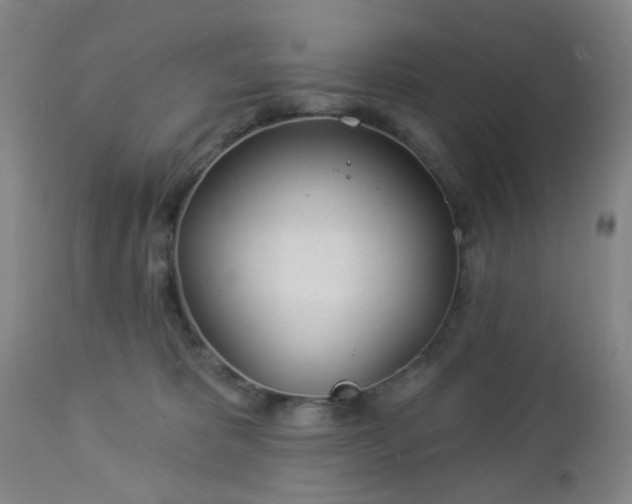 X0000112980325200909031115