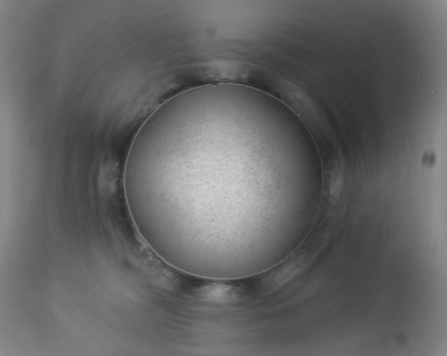 X0000112980326200909031115