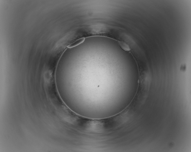 X0000112980327200909031114