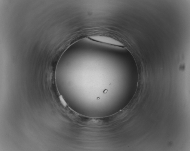 X0000112980328200909031114