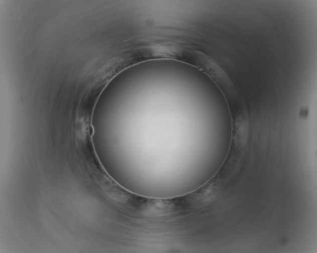 X0000112980329200909031114