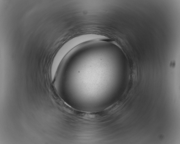 X0000112980332200909031114