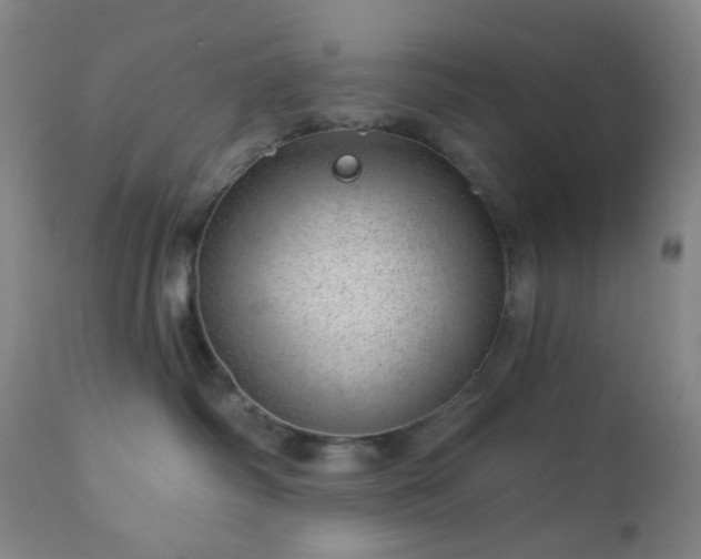 X0000112980334200909031114