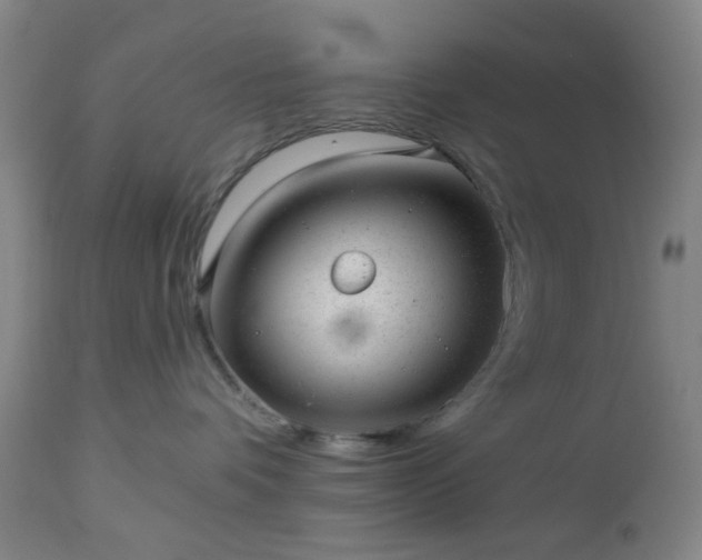 X0000112980336200909031114