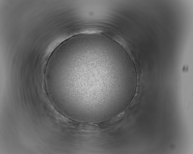 X0000112980337200909031114