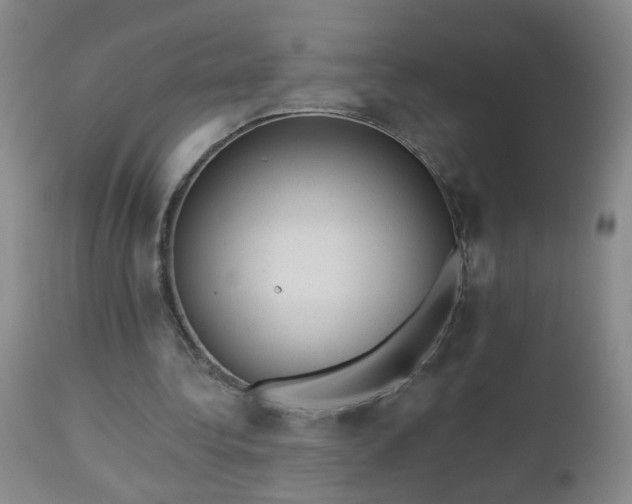 X0000112980340200909031114