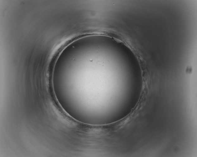 X0000112980342200909031114