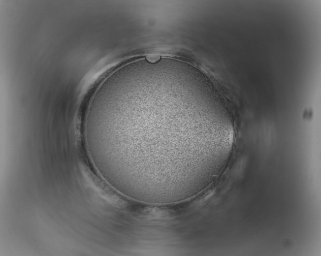 X0000112980343200909031114