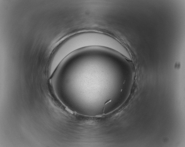 X0000112980344200909031114