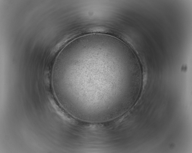 X0000112980345200909031114