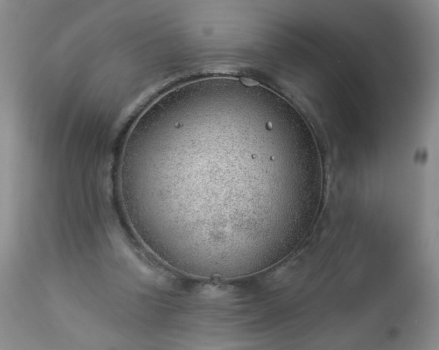 X0000112980346200909031114