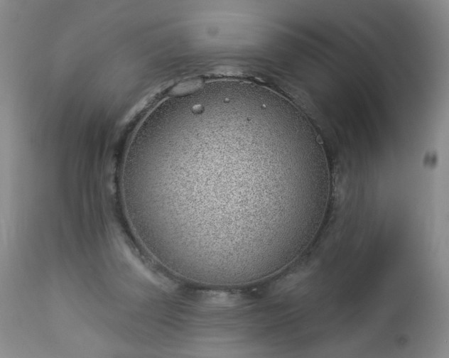 X0000112980347200909031114