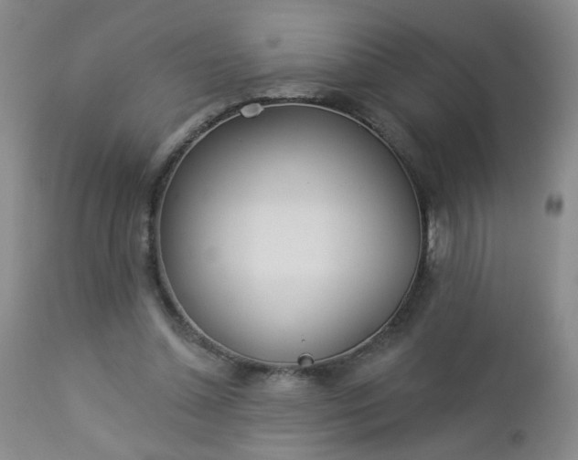 X0000112980348200909031114