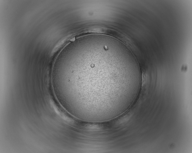 X0000112980349200909031114