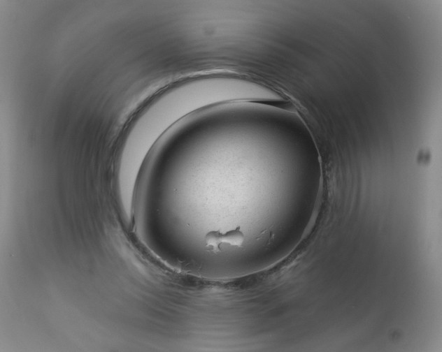 X0000112980350200909031114