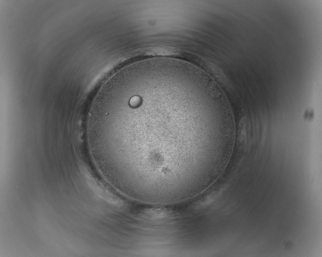 X0000112980351200909031114