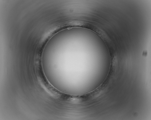 X0000112980352200909031114