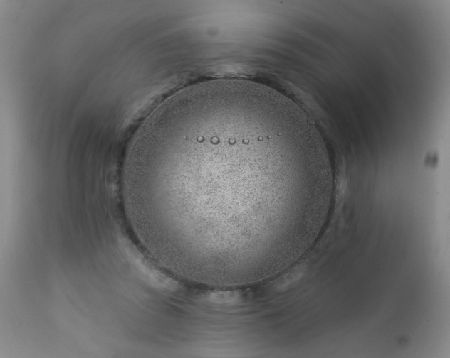 X0000112980353200909031114