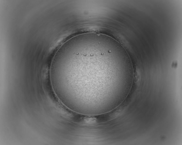 X0000112980355200909031114